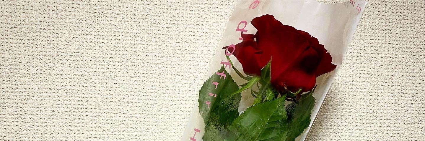mrn_fr's profile banner image
