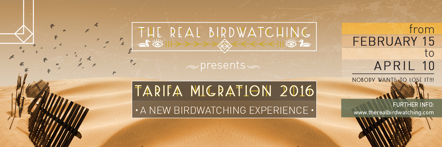 TRBirdwatching's profile banner image