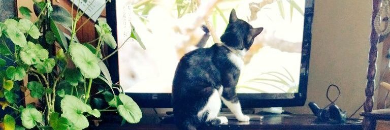 jasco02's profile banner image