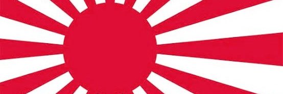 neteru55's profile banner image
