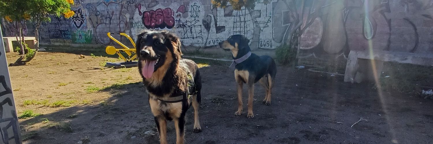 CristoferGerman's profile banner image