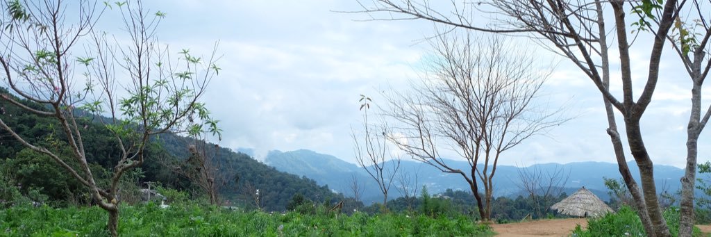 อุ๋มอิ๋ม 🎀 banner