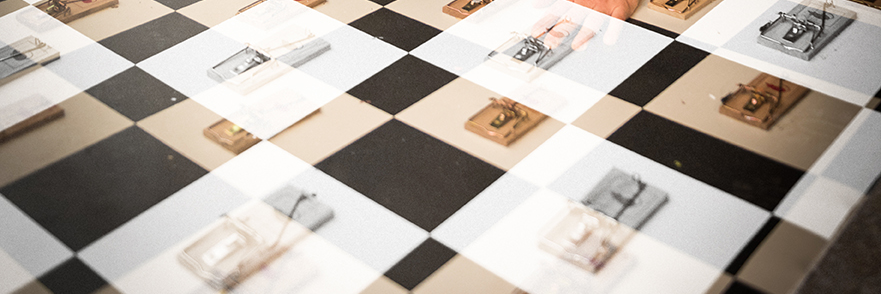 AnneLubitz's profile banner image