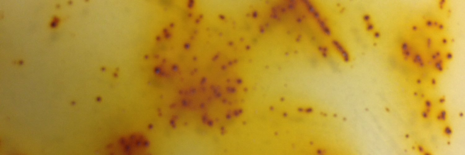 teamtrishmicro's profile banner image