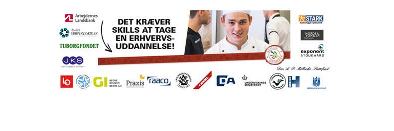 SkillsDenmark banner