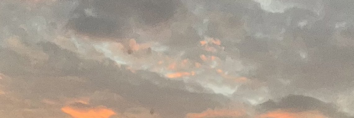 sofiaescovarz's profile banner image