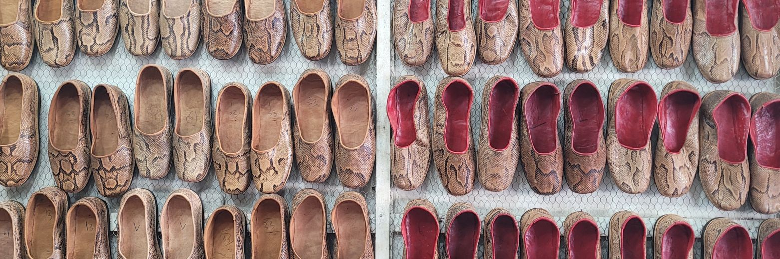 Ramey Dawoud | ⲣⲁ̄ⲙⲓ ⲇⲁ̄ⳣⲟⲩⲇ | 𐦫𐦠𐦨𐦢 𐦷𐦠𐦥𐦣𐦷 banner