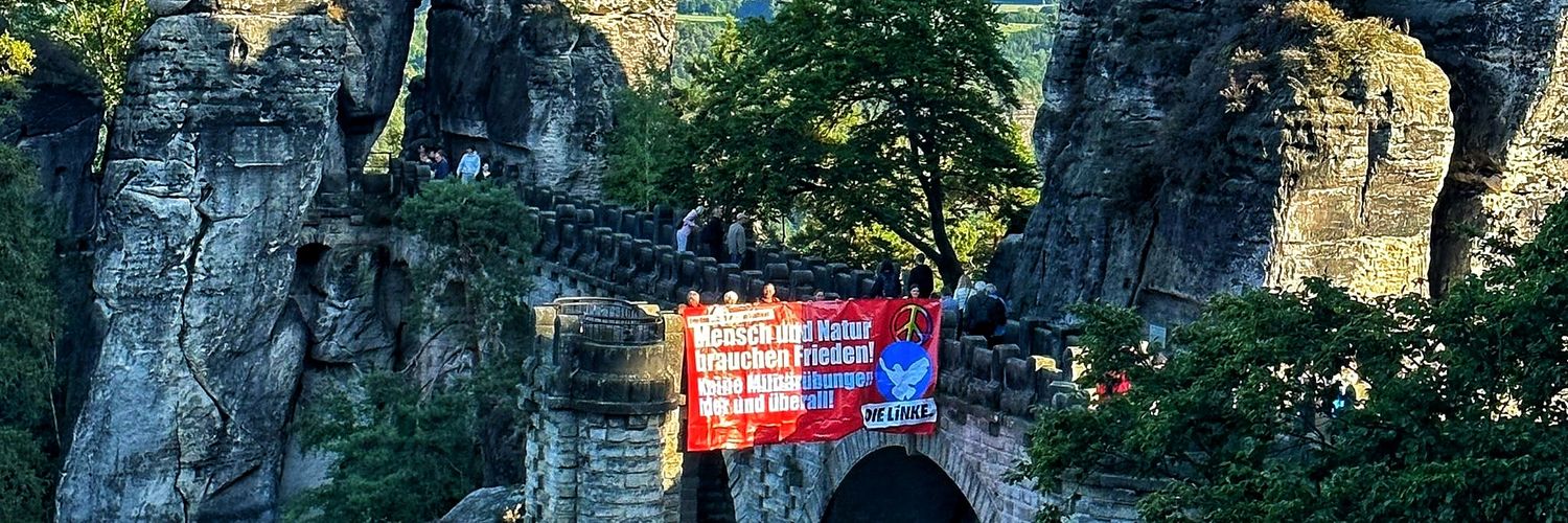 DIE LINKE. SOE 🚩😀 banner