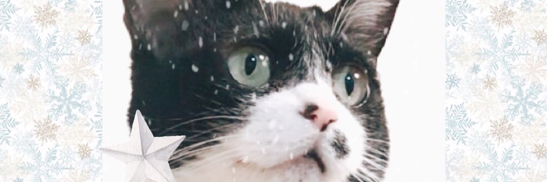 ちとしろ banner