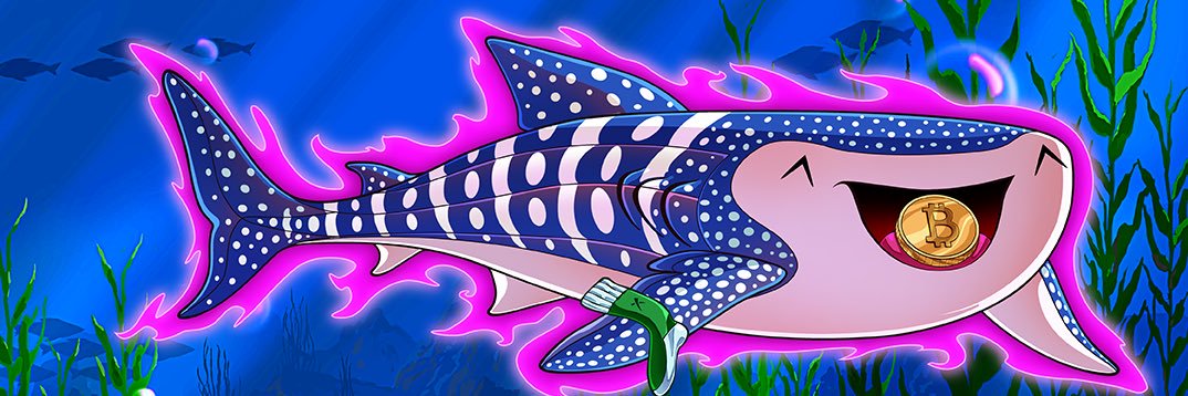 callmeben 0___0's banner