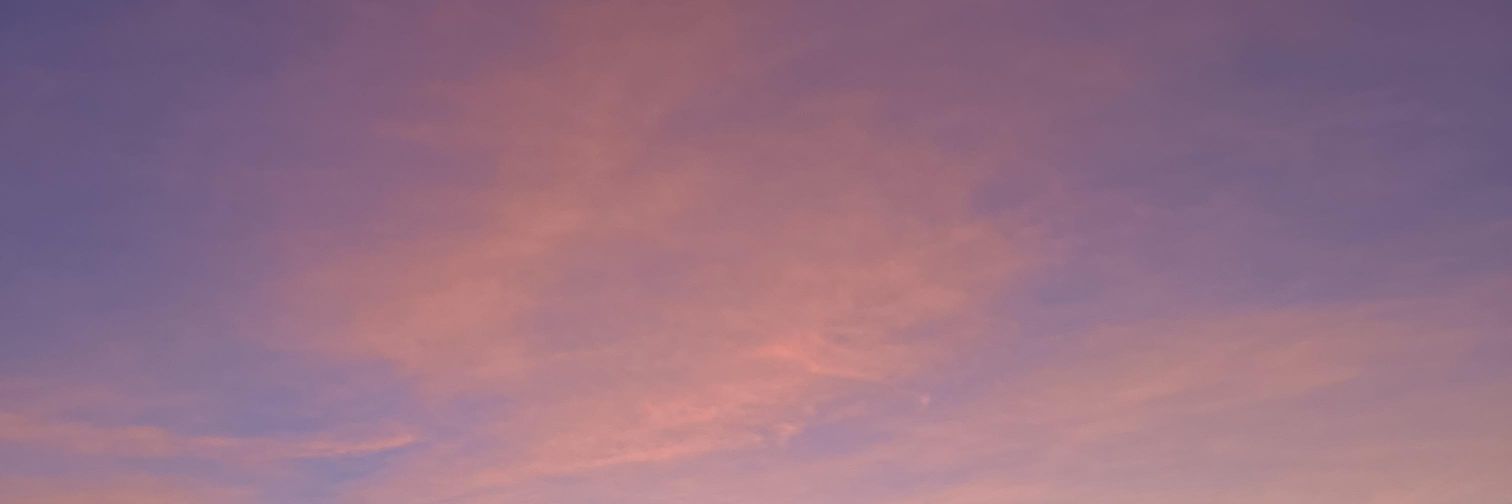 Shizumiii's profile banner image