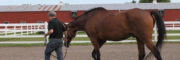 James T. Todd Profile Banner