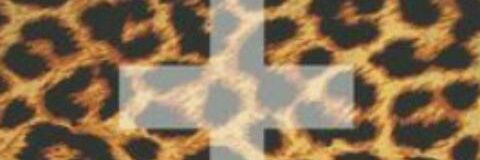 _jonellew's profile banner image