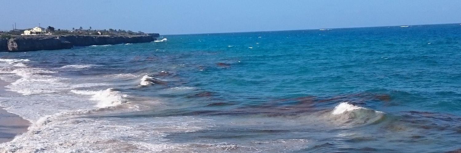 beemanneh's profile banner image