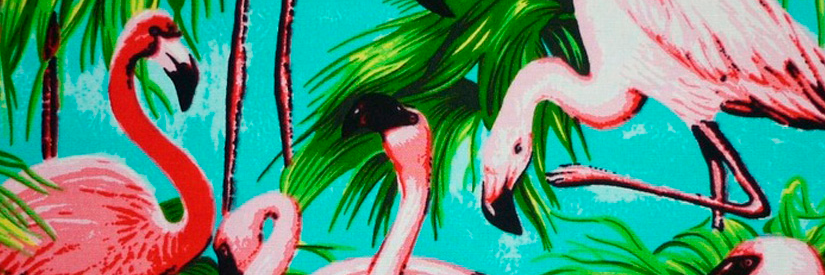 _MSant_'s profile banner image