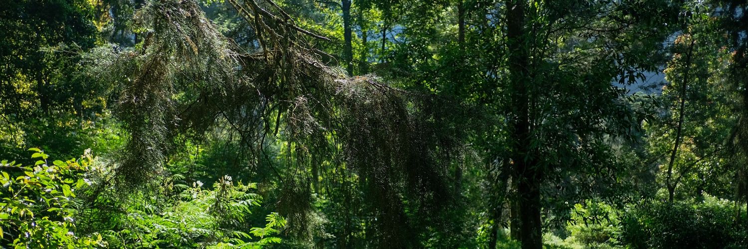 prdtyiw's profile banner image
