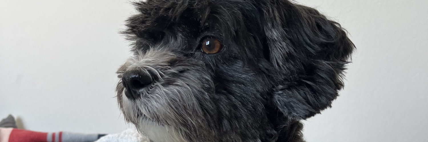 meghankk71's profile banner image