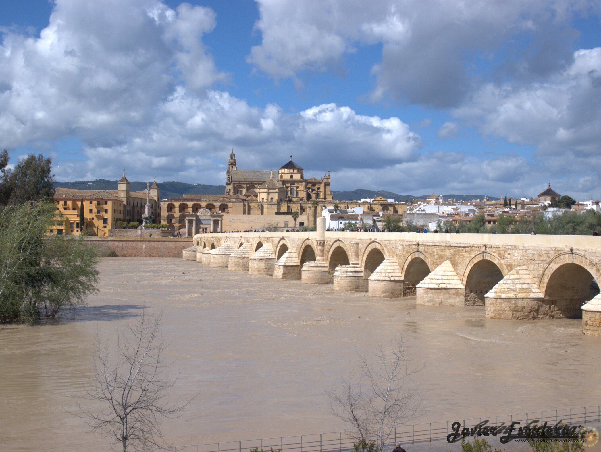 javi_escalera's profile banner image
