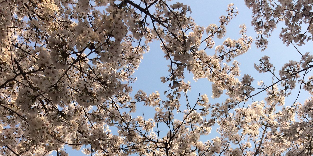 parkchw84's profile banner image