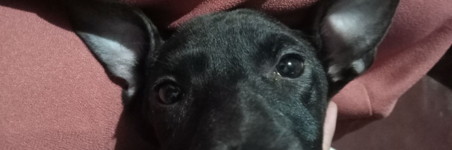 Micstea's profile banner image