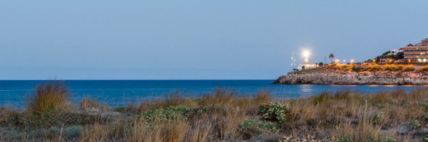 LauraLorenteF Profile Banner