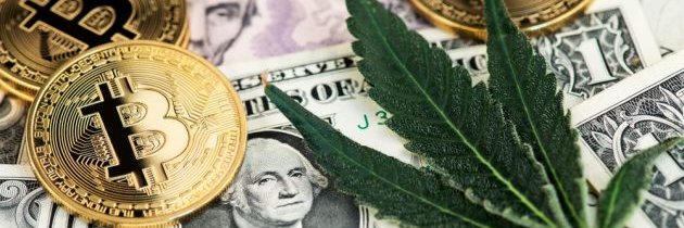 HempOutGirls's profile banner image