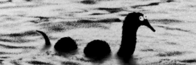 wooluuna's profile banner image