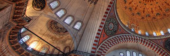 Leilat_MSU's profile banner image