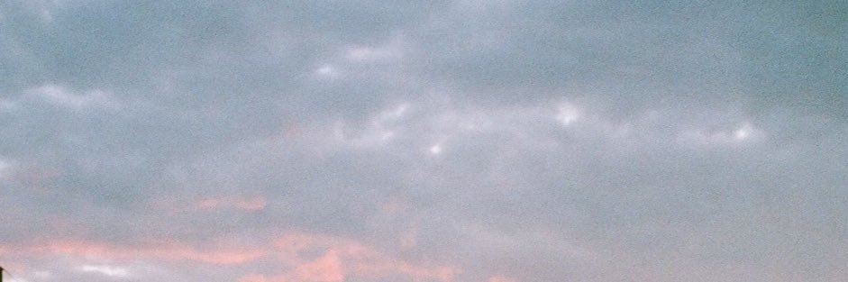 Choze 𖤓's banner