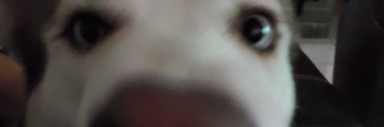 Ceasarsilva's profile banner image