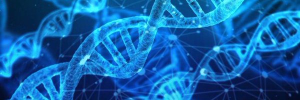 bnammar72 Profile Banner