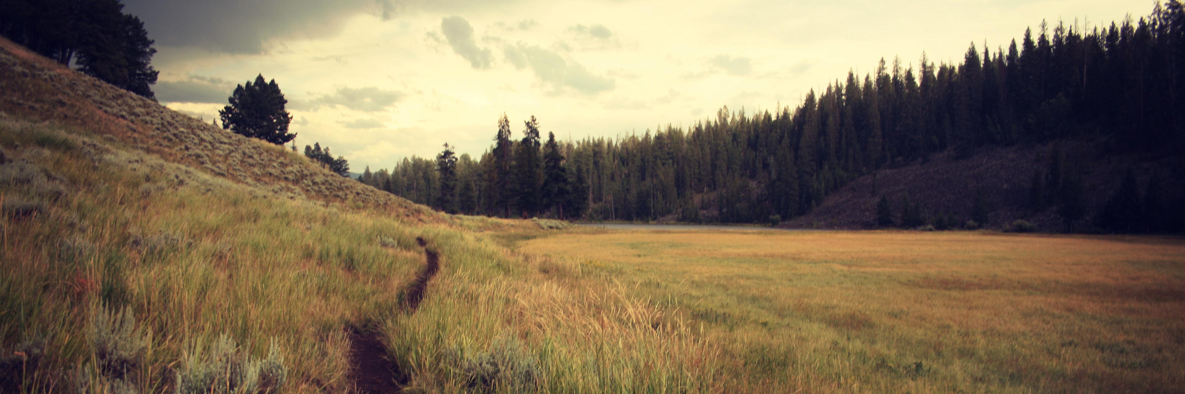 backroadio's profile banner image