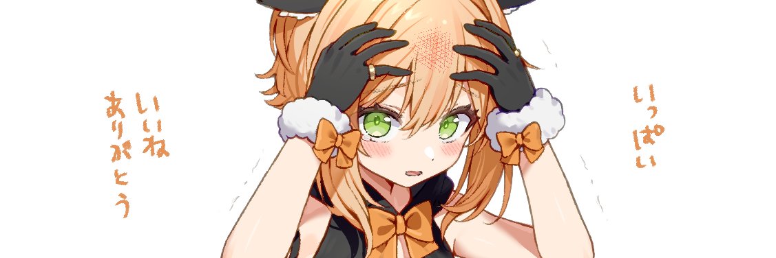 Torachi_ng's profile banner image