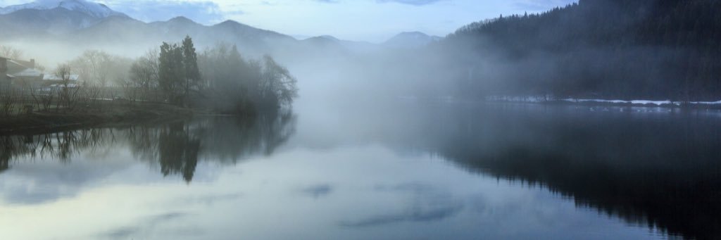 カエルさん🐸 banner