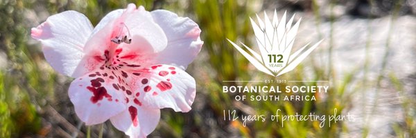 BotSocSA Profile Banner