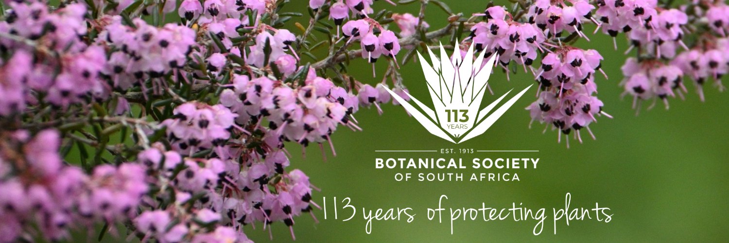 BotSocSA's profile banner image