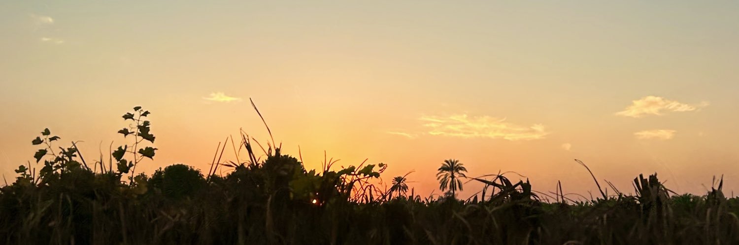omisykes's profile banner image