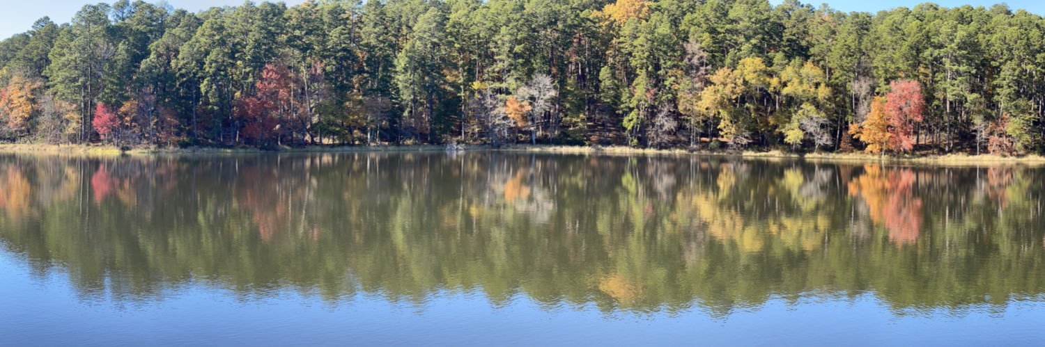 Roger HamilŦon 🌵🏴‍☠️ banner