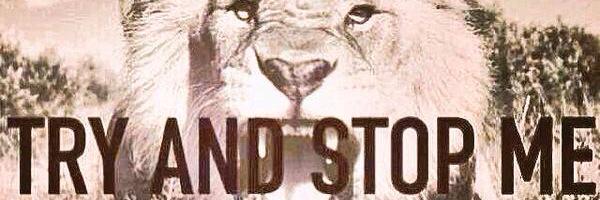 CTCS Lion Football banner