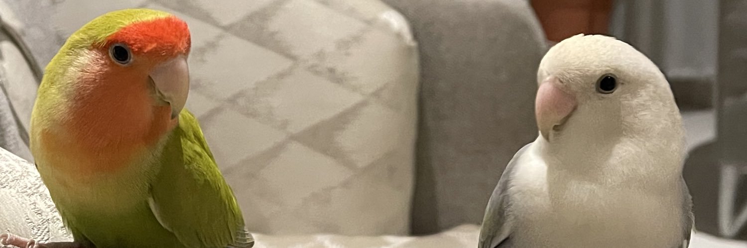 wejdan12861's profile banner image