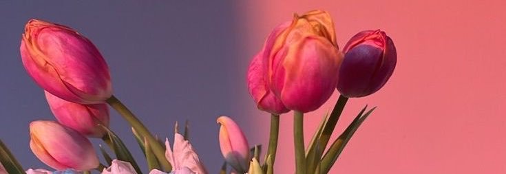 TuCulonaFap's profile banner image