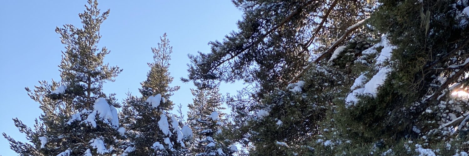 MUHAMMED RAĞIB ELHÜSEYNİ banner