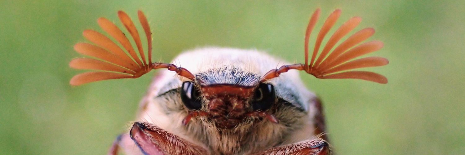 Dr Phil Saunders 🇬🇧 🇪🇺 🌈 banner