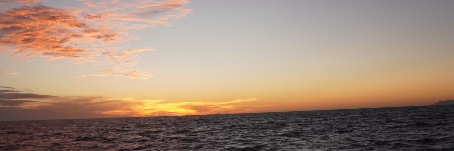 consmichel's profile banner image