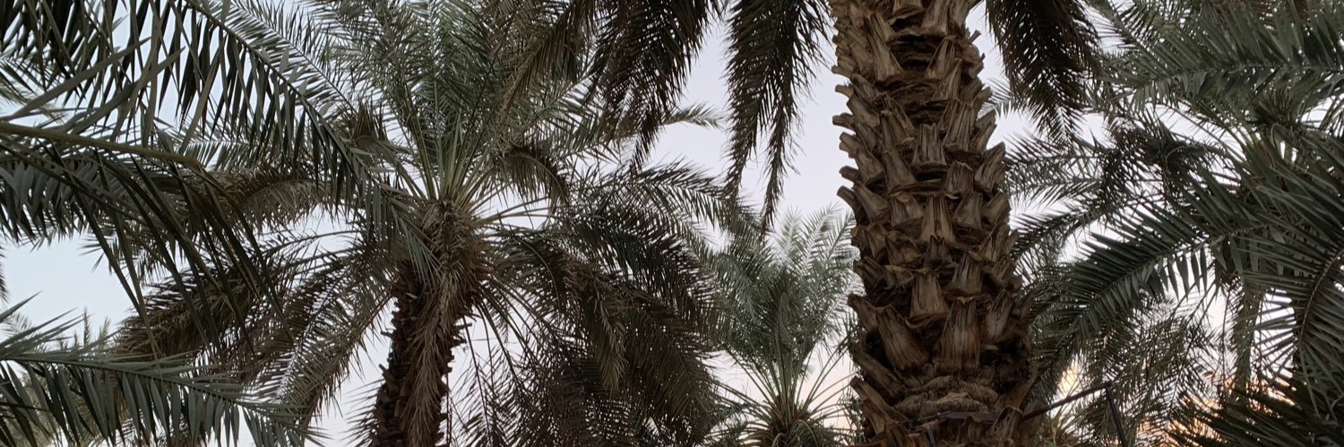 Danaed24's profile banner image