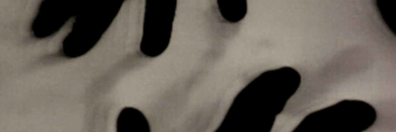 Alexander Martinz banner