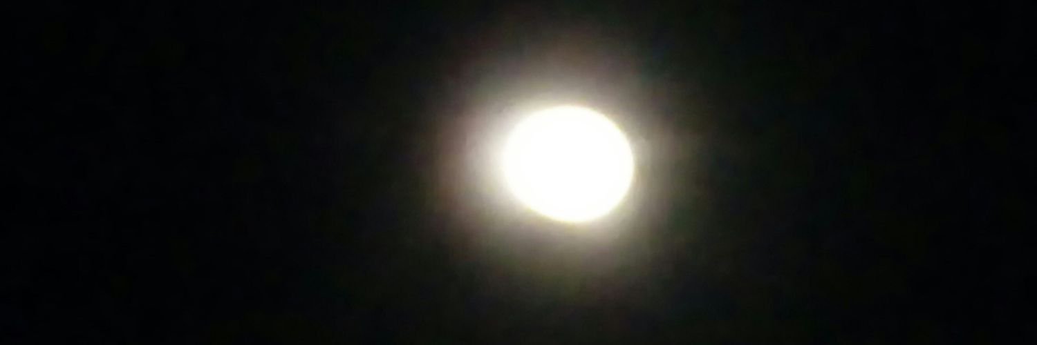 CampaMoises's profile banner image