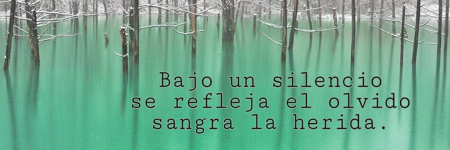 Manu LF banner
