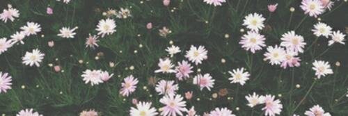 Sabiitiz's profile banner image