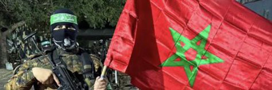 sinvvar's profile banner image